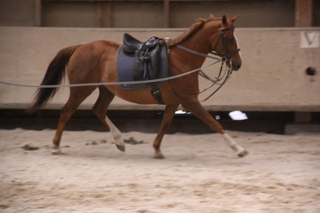 Juin 2010